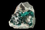 Pristine Dioptase Crystals on Quartz - Kimbedi, Congo #148471-1